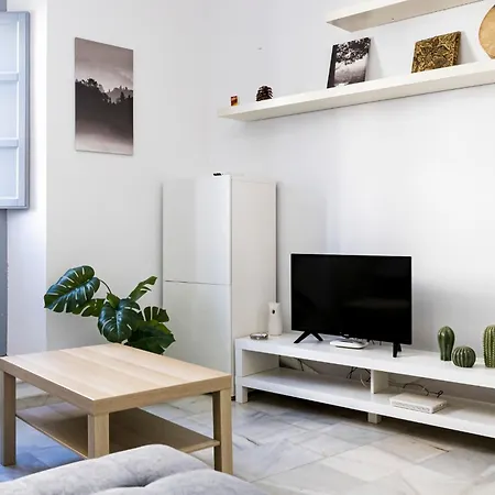 Apartment Picasso *